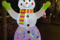 Lichtjesfestival Winterwandeling Rijsbergen 14 December 2024