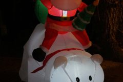 Lichtjesfestival Winterwandeling Rijsbergen 14 December 2024